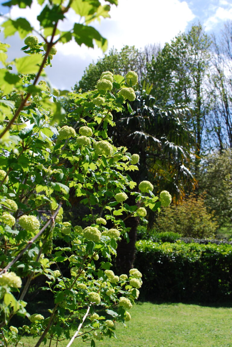 jardin gîte normandie