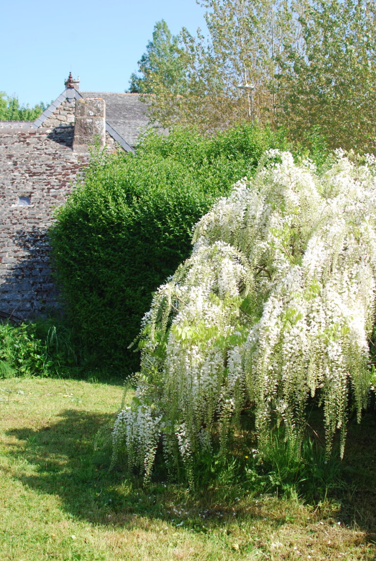 jardin cotentin
