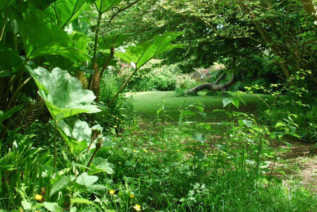 Gîte de charme jardin