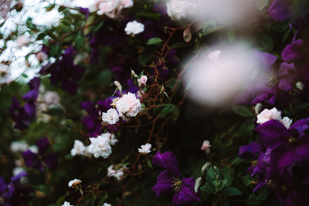 jardin cotentin